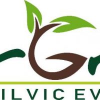 Ingineri silvici