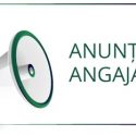 Angajez mecanic auto