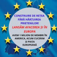 Vrei sa ai propria afacere online?