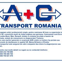 Soferi profesionisti C+E