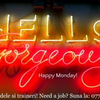 Angajam Trainer Videochat!