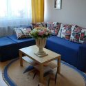 apartament 3 camere stefan cel mare parcul circului