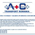 Soferi profesionisti