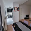 apartament 2 camere delea veche  2012