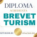 Curs Manager in Activitatea de Turism - BREVET