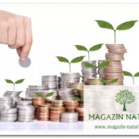 Profituri financiare din Life Care