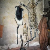 Africa Spiritual Witchcraft +27672740459 Voodoo Spell/Effective Bring Back Lost Love Spell Caster In