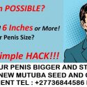 THE 4 IN 1 AFRICAN HERBAL TOP SELLING PENIS ENLARGEMENT COMBO +27736844586