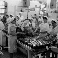 fabrica de conserve germania