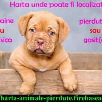 Animale pierdute si animale gasite - harta nationala cu localizare