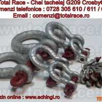 Cheie tachelaj / Gambeti / Shackles G209 Crosby®