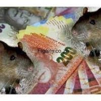 SOUTH AFRICA TRADITIONAL HEALER&LOVE SPELL CASTER【+27640619698】Ouani Town in Nzwani, Comoros