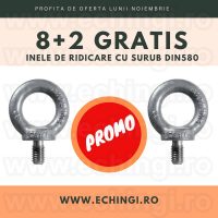 Inel - şurub DIN 580 M10,8+2 gratis