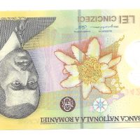 cautam operatori