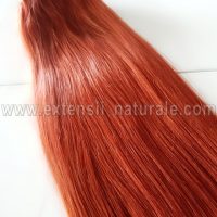 Extensii par natural Remy. Clip On. Cheratina. Mostra gratis