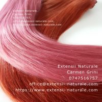 Extensii par natural Remy. Clip On. Cheratina. Mostra gratis