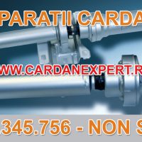 Reparatie Cardan DAF LF