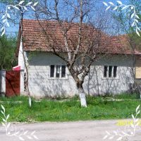Casa la tara cu piscina langa rau Brazii Arad