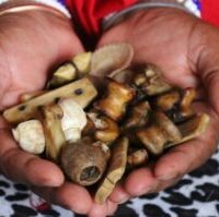 ஜஜ۩۞۩ஜ[+27672740459]☬ Sangoma, ☬Bring Back Lost Love, ☬Luck Spells Caster, ☬Spiritual Healing In Joh